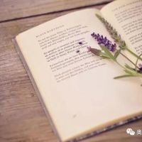 相約夏季，在奧邦邂逅書香